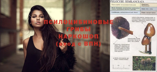 спиды Кукмор