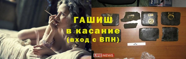 прущие грибы Кулебаки