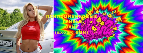 спиды Кукмор