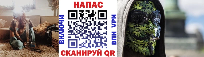 Купить где  Якутск  Бошки Шишки семена 